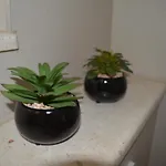 Dane * 마카르스카