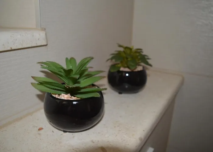 Dane * Макарська