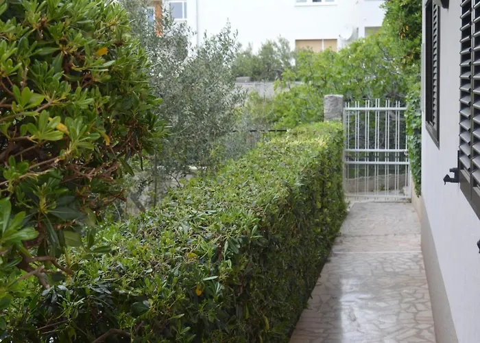 Dane * Макарська